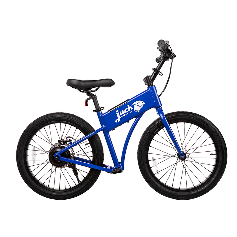 JackRabbit OG2 Ebike, 300W Motor, 20 Mph Speed, 10+ Mile Range, JKRT-JR3-4