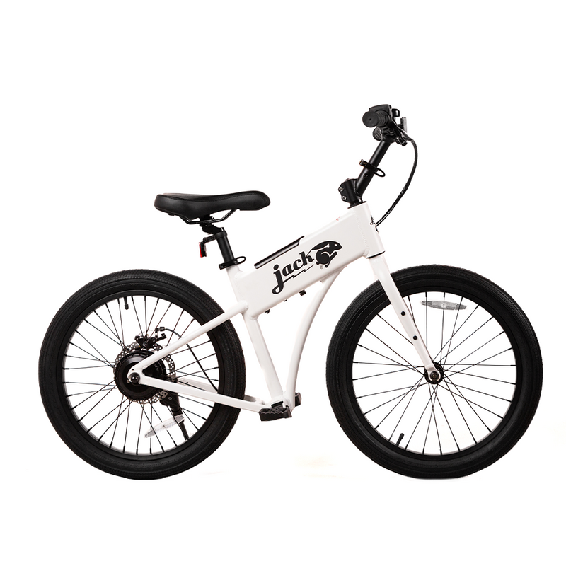 JackRabbit OG2 Ebike, 300W Motor, 20 Mph Speed, 10+ Mile Range, JKRT-JR3-4