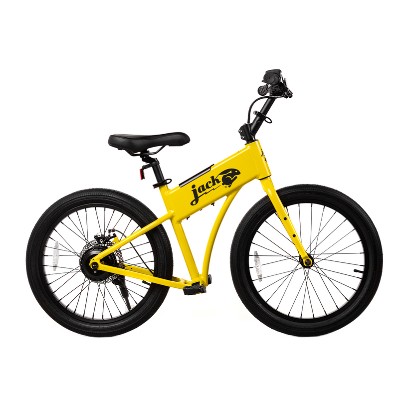 JackRabbit OG2 Ebike, 300W Motor, 20 Mph Speed, 10+ Mile Range, JKRT-JR3-4