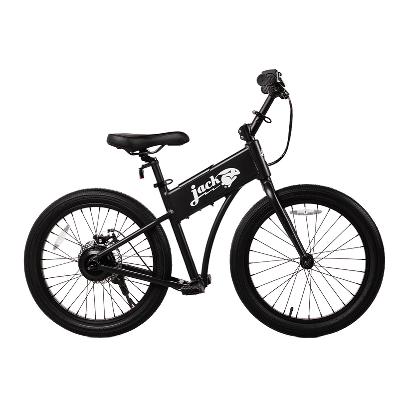 JackRabbit OG2 Ebike, 300W Motor, 20 Mph Speed, 10+ Mile Range, JKRT-JR3-4