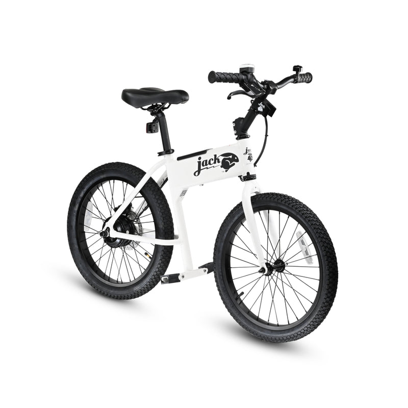 JackRabbit Portable Ultralight Micro Ebike 300W Motor JKRT-JR3