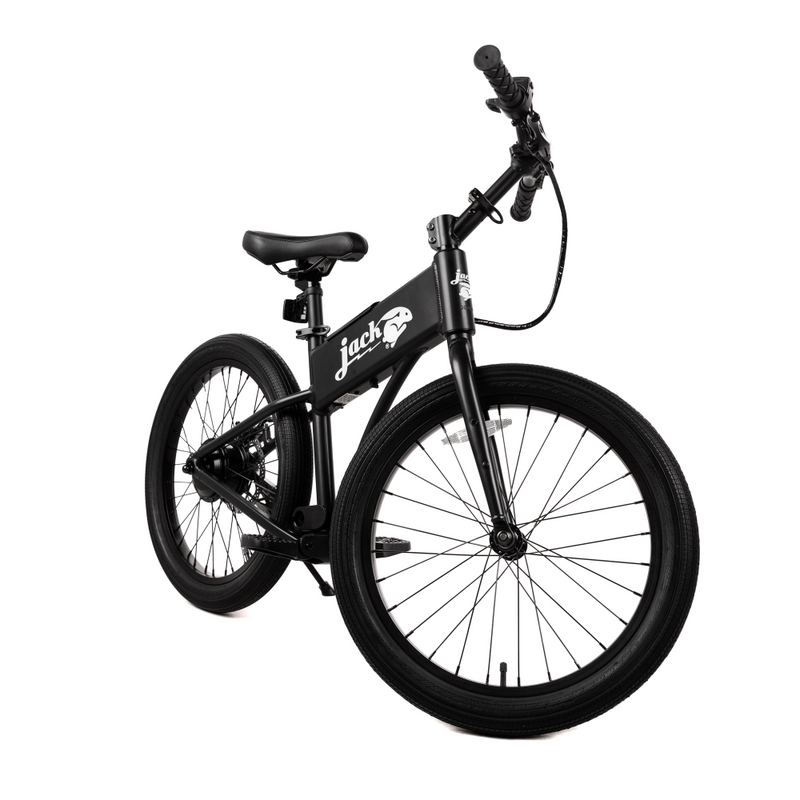 JackRabbit OG2 Ebike, 300W Motor, 20 Mph Speed, 10+ Mile Range, JKRT-JR3-4