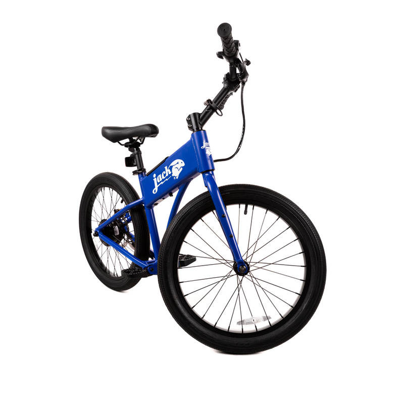 JackRabbit OG2 Ebike, 300W Motor, 20 Mph Speed, 10+ Mile Range, JKRT-JR3-4